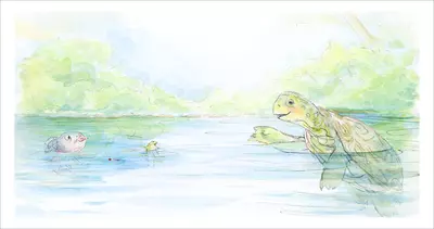 Advice From Turtle [PRINT], Alan Barillaro