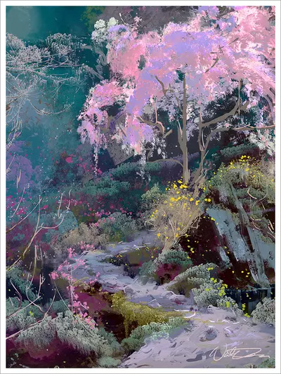Japanese Cherry Blossoms [PRINT], Nathan Fowkes