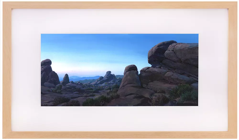 Joshua Tree ジョシュアツリー国立公園, Yoichi Nishikawa